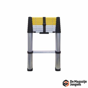 Extendo V Telescopische ladder