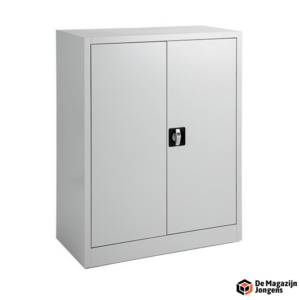 FLC draaideurkast 100x80x38