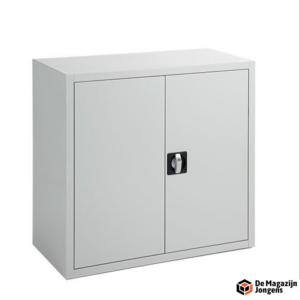 FLC draaideurkast 74x80x38